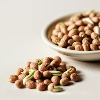 Illustration chickpeas - Image 1