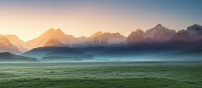 Illustration prime - Image 1