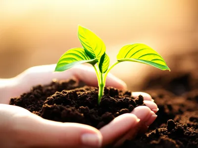 Illustration nurtured - Image 1