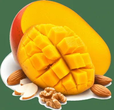 Illustration meats - Image 1