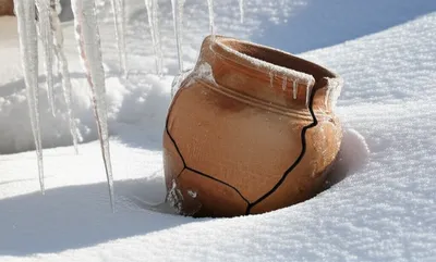 Illustration baked - Image 1