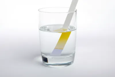 Illustration litmus - Image 1