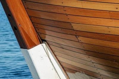 Illustration teak - Image 1