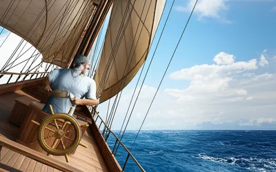 Illustration steers - Image 1