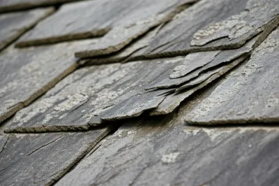 Illustration slates - Image 1