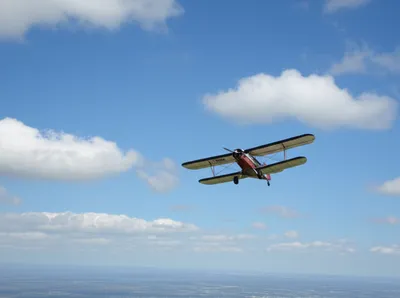 Illustration indy - Image 1