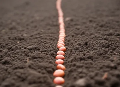 Illustration drill - Image 1