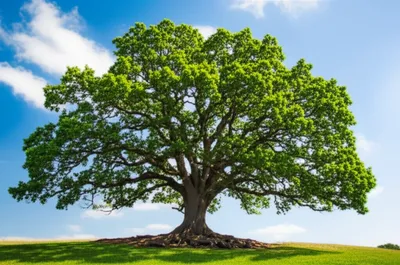 Illustration mighty - Image 1