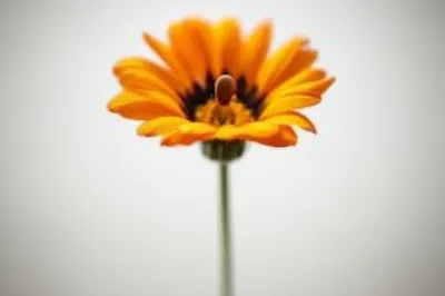 Illustration self - Image 1