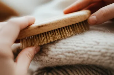 Illustration teasel - Image 1