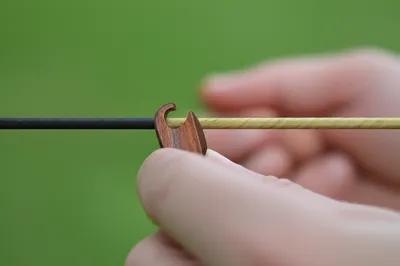 Illustration notch - Image 1