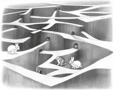 Illustration warren - Image 1