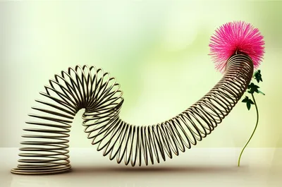 Illustration loosening - Image 1