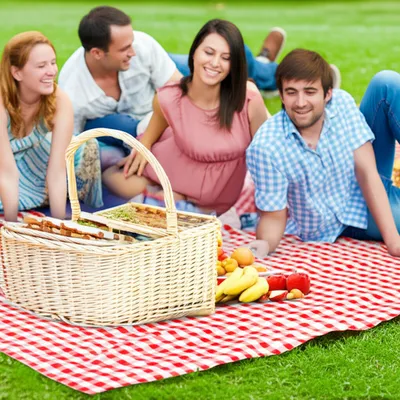 Illustration picnic - Image 1