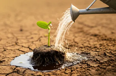 Illustration watering - Image 1