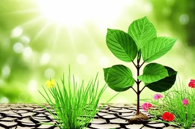 Illustration recovered - Image 1