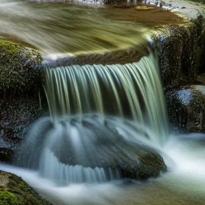 Illustration silken - Image 1