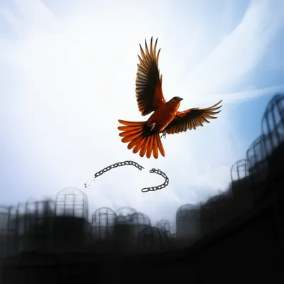 Illustration delivers