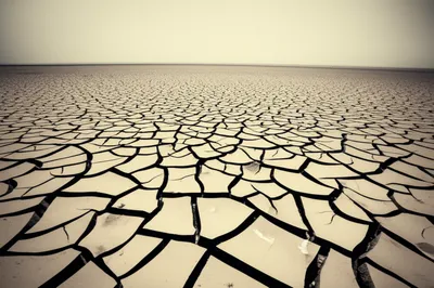 Illustration solitude - Image 1