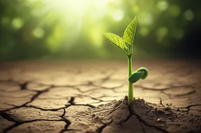 Illustration broke - Image 1