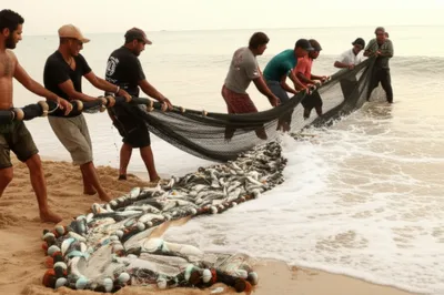 Illustration seine - Image 1