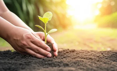 Illustration induced - Image 1