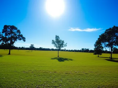 Illustration noontime