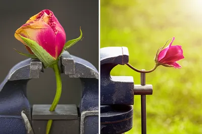 Illustration abuses - Image 1