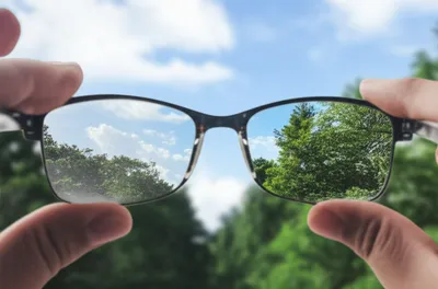 Illustration revisions - Image 1