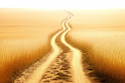 Illustration waived - Image 1