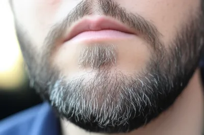 Illustration sprang - Image 1