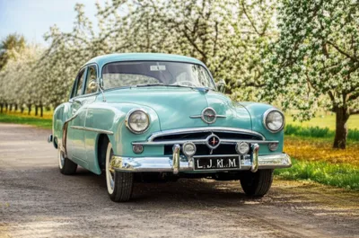 Illustration she - Image 1