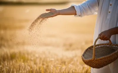 Illustration winnow - Image 1