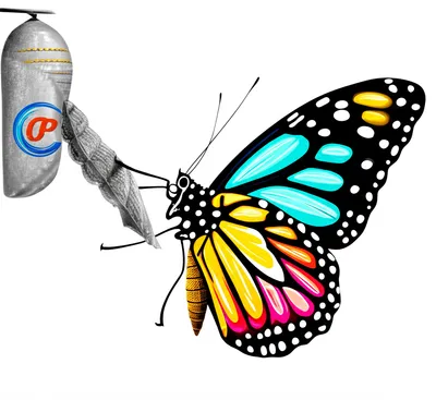 Illustration rebrand - Image 1