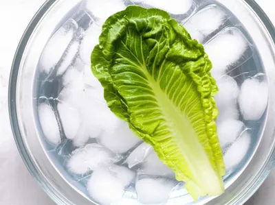 Illustration blanch - Image 1