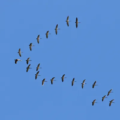 Illustration marking - Image 1