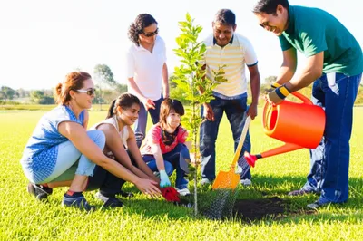 Illustration partake - Image 1