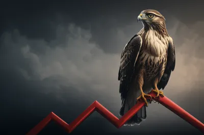 Illustration hawkish - Image 1