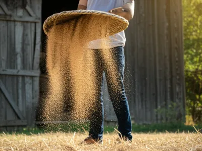 Illustration winder - Image 1