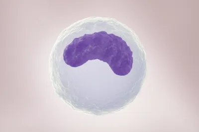 Illustration band - Image 1