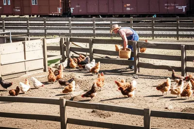 Illustration yards - Image 1