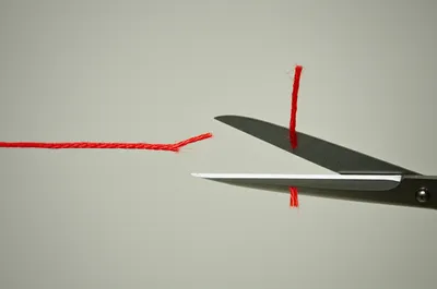 Illustration unjoined - Image 1