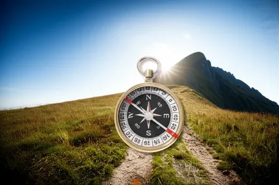 Illustration bag - Image 1