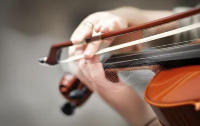 Illustration arco - Image 1