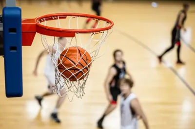 Illustration baskets - Image 1