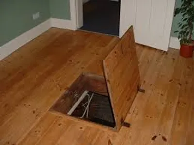 Illustration trap - Image 5