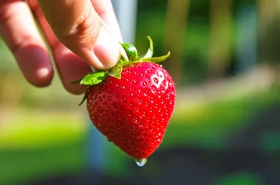 Illustration taking - Image 1