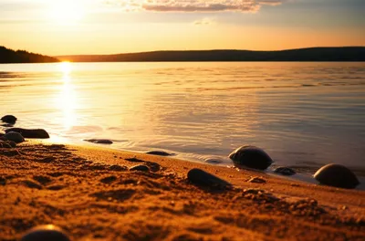 Illustration strands - Image 1