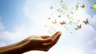 Illustration release - Image 1