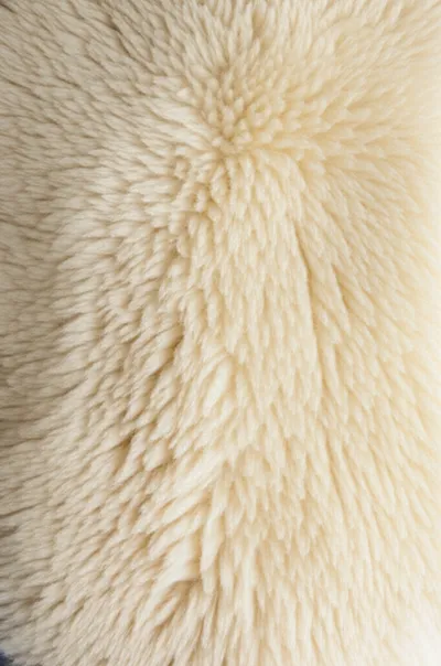 Illustration shearing - Image 2